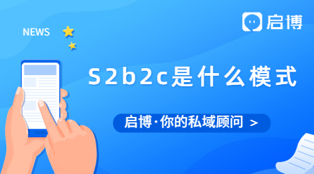 S2b2c是什么模式？为什么S是大写b和c却是小写？